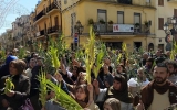 Domenica delle Palme 2015 (8)