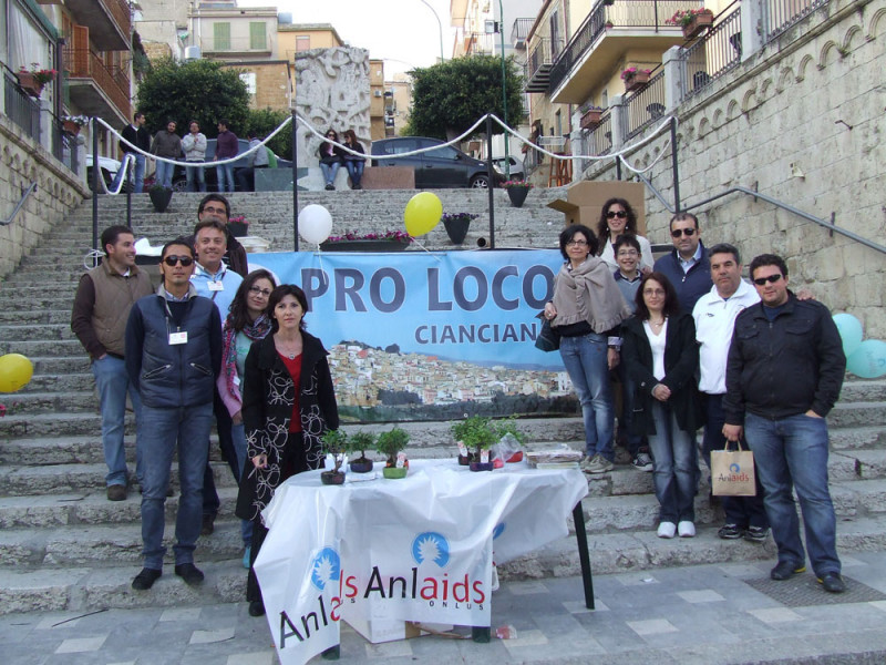 Giornata “Bonsai AID AIDS 2014″